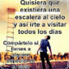 walteralfaro83